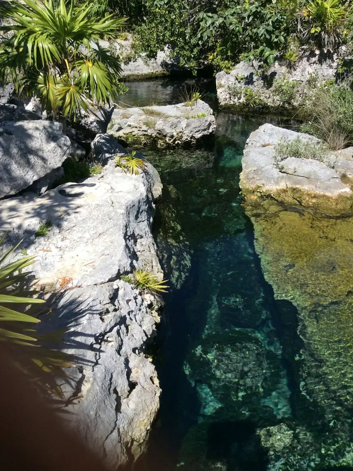 Cenote de agua cristalina rodeado de roca y vegetación